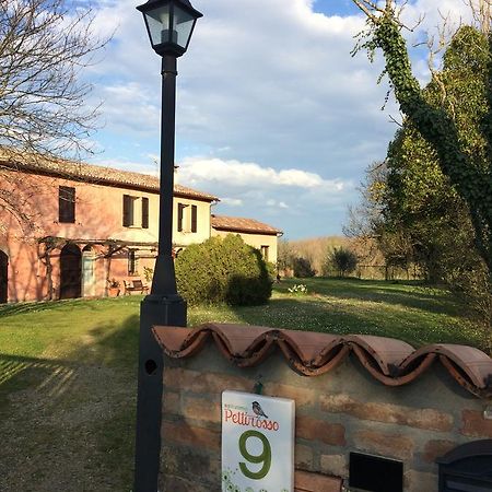 Гостевой дом Agriturismo Il Pettirosso Форли Экстерьер фото