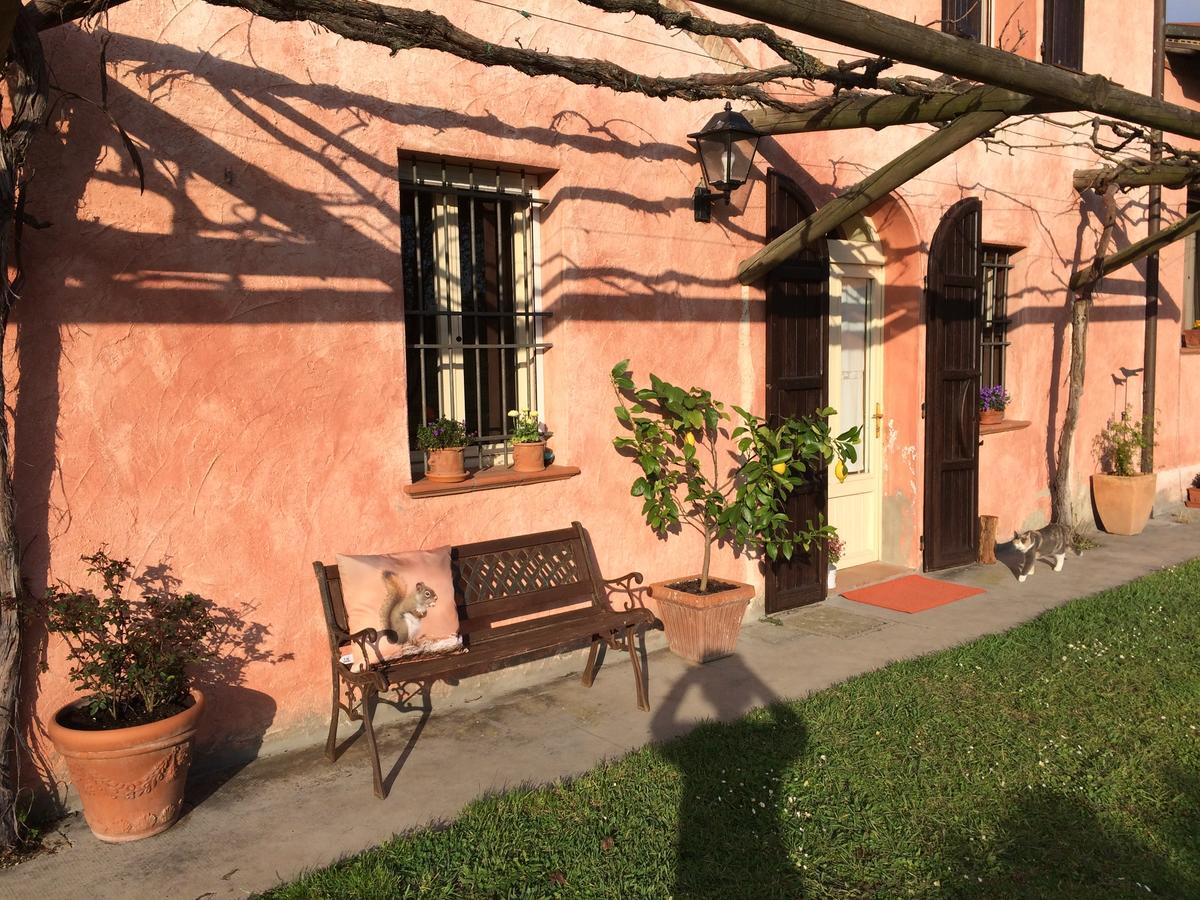 Гостевой дом Agriturismo Il Pettirosso Форли Экстерьер фото