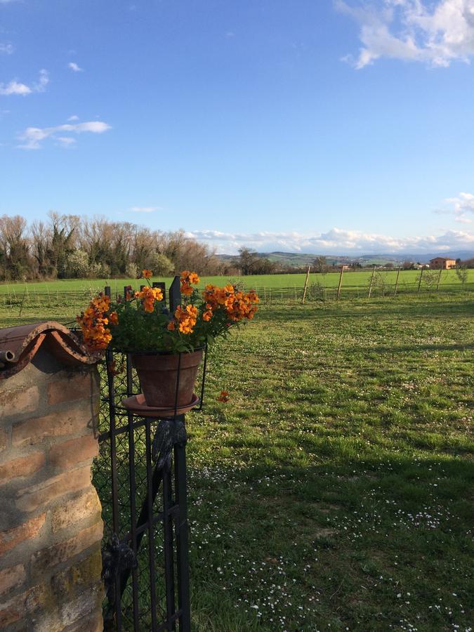 Гостевой дом Agriturismo Il Pettirosso Форли Экстерьер фото